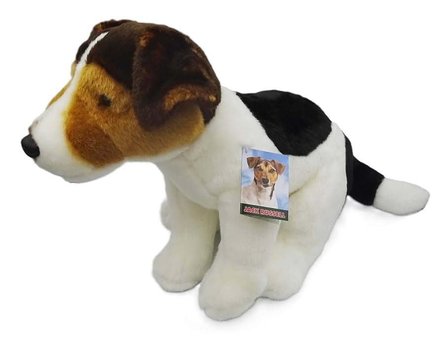 Amazon.com: Tri Color Jack Russell 12